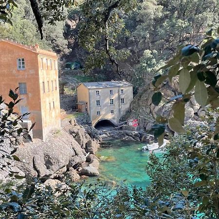 Villa Casa Dell'Arco Civico 35 San Fruttuoso Exterior foto