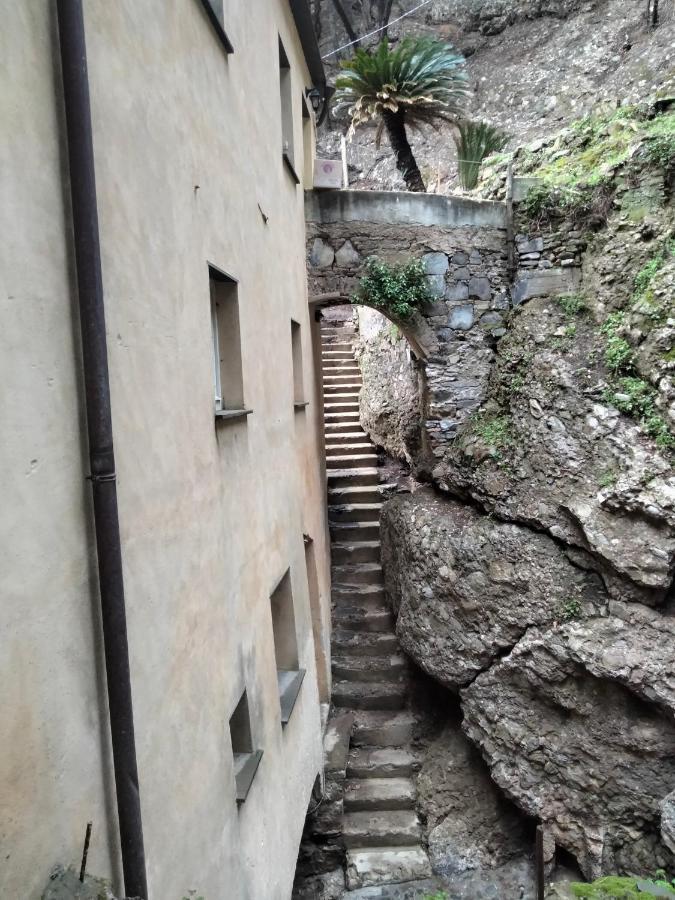 Villa Casa Dell'Arco Civico 35 San Fruttuoso Exterior foto