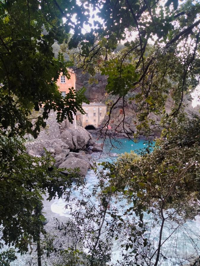 Villa Casa Dell'Arco Civico 35 San Fruttuoso Exterior foto
